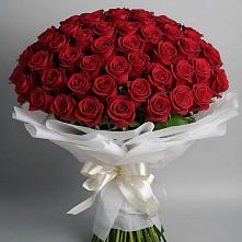 Букет 101 Красная роза Блэк Мэджик #REPLACE_PRED# Карасуке