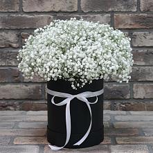 Цветочная композиция из Гипсофила в шляпной коробке в Карасуке