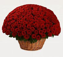 Премиум букет из: Розы в Карасуке