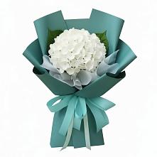Букет цветов из:  Гортензия в Карасуке